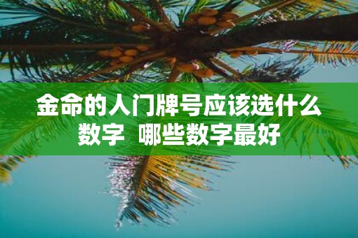 金命的人门牌号应该选什么数字  哪些数字最好