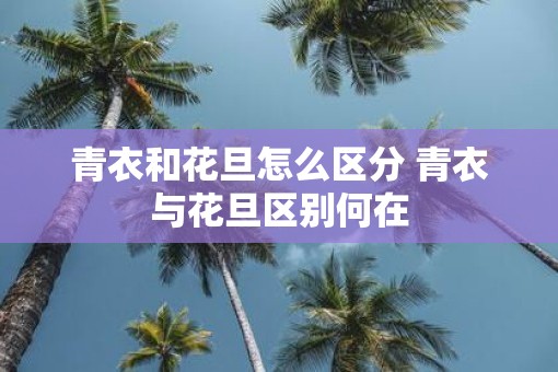 青衣和花旦怎么区分 青衣与花旦区别何在