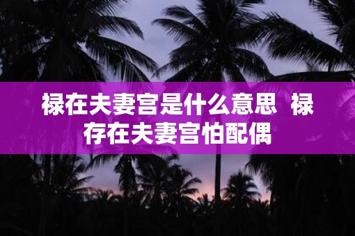 禄在夫妻宫是什么意思  禄存在夫妻宫怕配偶