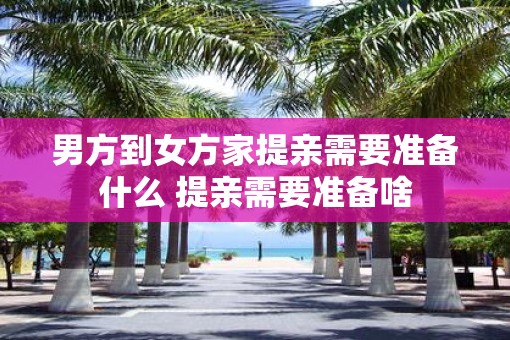 男方到女方家提亲需要准备什么 提亲需要准备啥