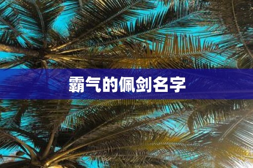 霸气的佩剑名字