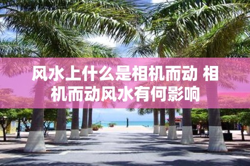 风水上什么是相机而动 相机而动风水有何影响