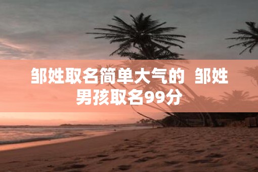 邹姓取名简单大气的  邹姓男孩取名99分