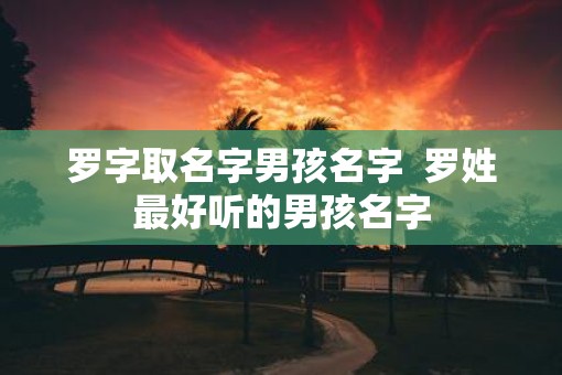 罗字取名字男孩名字  罗姓最好听的男孩名字