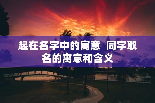 起在名字中的寓意  同字取名的寓意和含义