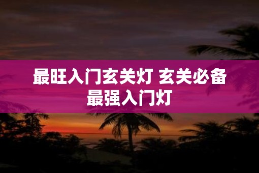 最旺入门玄关灯 玄关必备最强入门灯