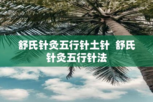 舒氏针灸五行针土针  舒氏针灸五行针法