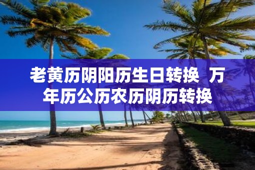 老黄历阴阳历生日转换  万年历公历农历阴历转换