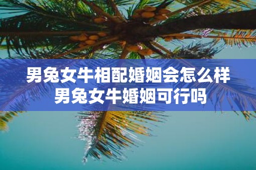 男兔女牛相配婚姻会怎么样 男兔女牛婚姻可行吗
