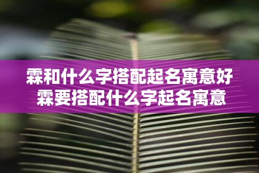 霖和什么字搭配起名寓意好 霖要搭配什么字起名寓意好吗 霖和什么字搭配起名寓意好 霖要搭配什么字起名寓意好吗