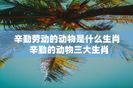 辛勤劳动的动物是什么生肖  辛勤的动物三大生肖