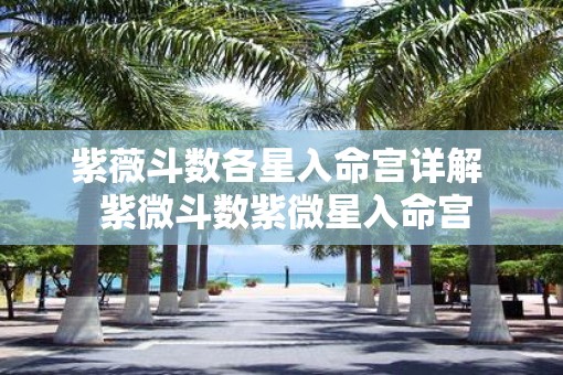 紫薇斗数各星入命宫详解  紫微斗数紫微星入命宫