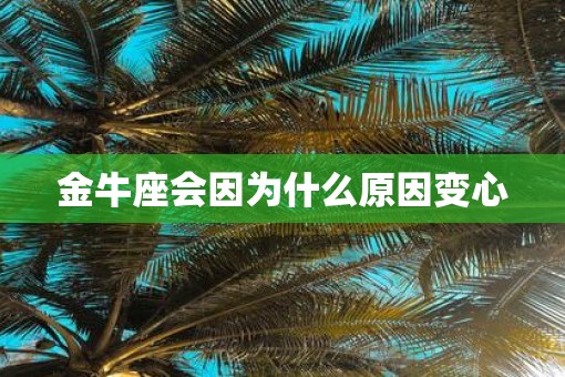 金牛座会因为什么原因变心