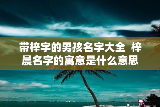 带梓字的男孩名字大全  梓晨名字的寓意是什么意思