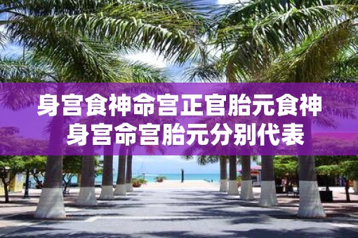 身宫食神命宫正官胎元食神  身宫命宫胎元分别代表
