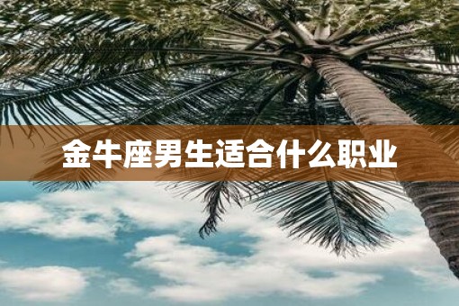 金牛座男生适合什么职业