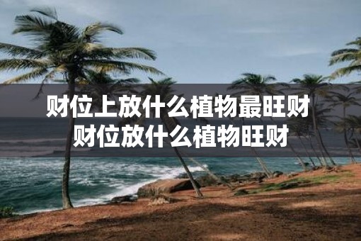 财位上放什么植物最旺财 财位放什么植物旺财