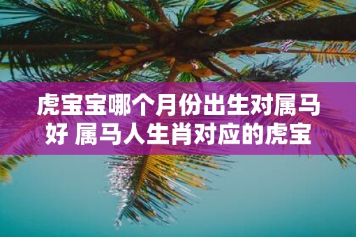 虎宝宝哪个月份出生对属马好 属马人生肖对应的虎宝宝最适合哪个月出生