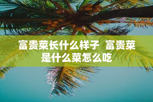 富贵菜长什么样子  富贵菜是什么菜怎么吃