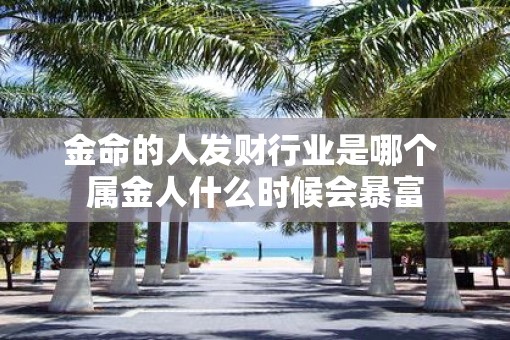 金命的人发财行业是哪个 属金人什么时候会暴富