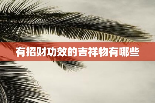 有招财功效的吉祥物有哪些