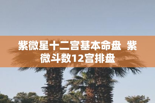 紫微星十二宫基本命盘  紫微斗数12宫排盘