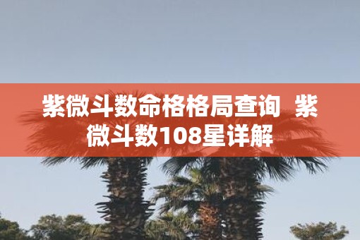 紫微斗数命格格局查询  紫微斗数108星详解