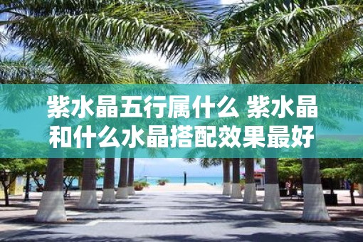 紫水晶五行属什么 紫水晶和什么水晶搭配效果最好