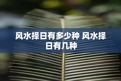 风水择日有多少种 风水择日有几种