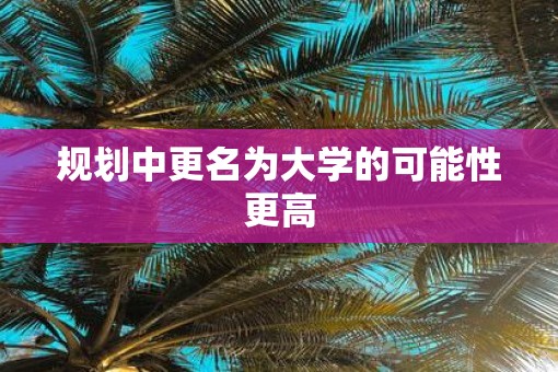 规划中更名为大学的可能性更高