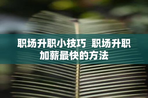 职场升职小技巧 职场升职加薪最快的方法 职场升职小技巧 职场升职加薪最快的方法