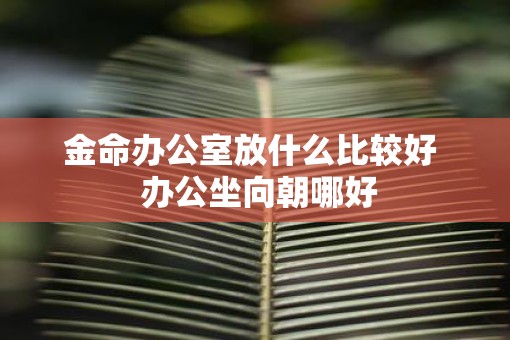 金命办公室放什么比较好  办公坐向朝哪好