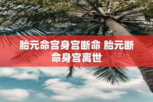 胎元命宫身宫断命 胎元断命身宫离世