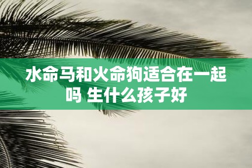 水命马和火命狗适合在一起吗 生什么孩子好