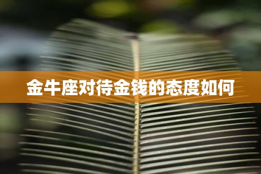 金牛座对待金钱的态度如何