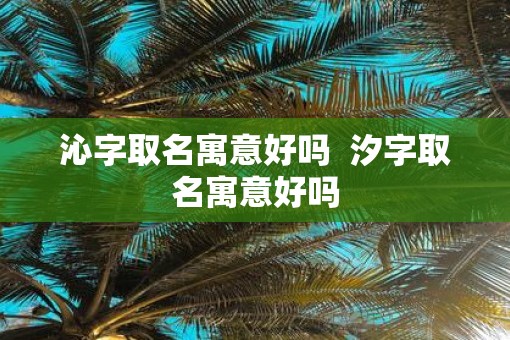 沁字取名寓意好吗  汐字取名寓意好吗