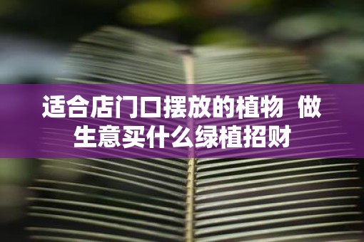 适合店门口摆放的植物  做生意买什么绿植招财