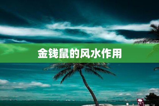 金钱鼠的风水作用