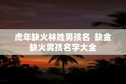 虎年缺火林姓男孩名  缺金缺火男孩名字大全
