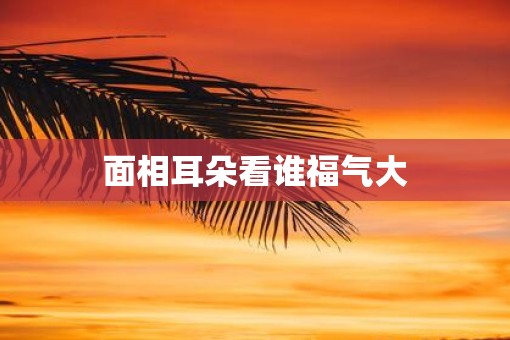面相耳朵看谁福气大