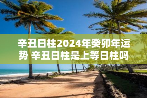 辛丑日柱2025年癸卯年运势 辛丑日柱是上等日柱吗