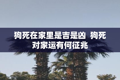 狗死在家里是吉是凶  狗死对家运有何征兆