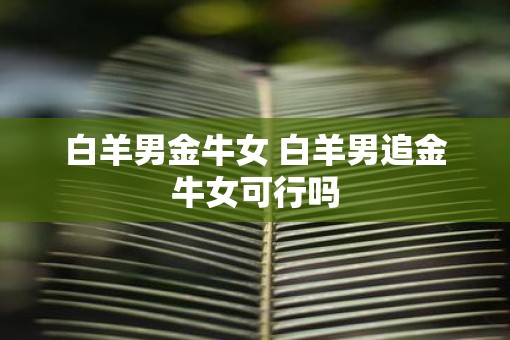 白羊男金牛女 白羊男追金牛女可行吗