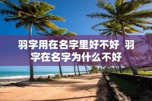 羽字用在名字里好不好  羽字在名字为什么不好