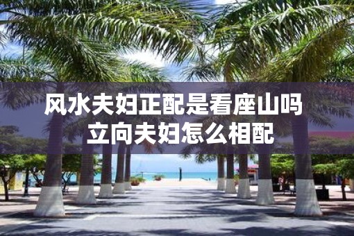 风水夫妇正配是看座山吗  立向夫妇怎么相配