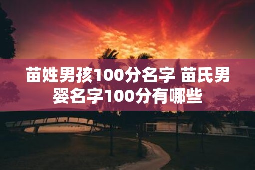 苗姓男孩100分名字 苗氏男婴名字100分有哪些