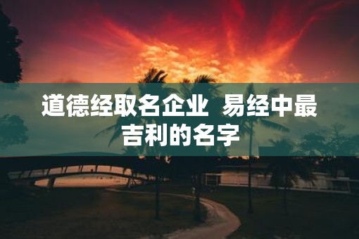 道德经取名企业  易经中最吉利的名字
