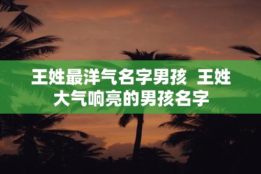 王姓最洋气名字男孩  王姓大气响亮的男孩名字
