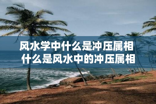 风水学中什么是冲压属相 什么是风水中的冲压属相
