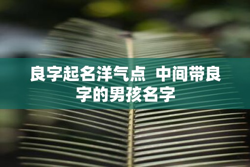 良字起名洋气点  中间带良字的男孩名字